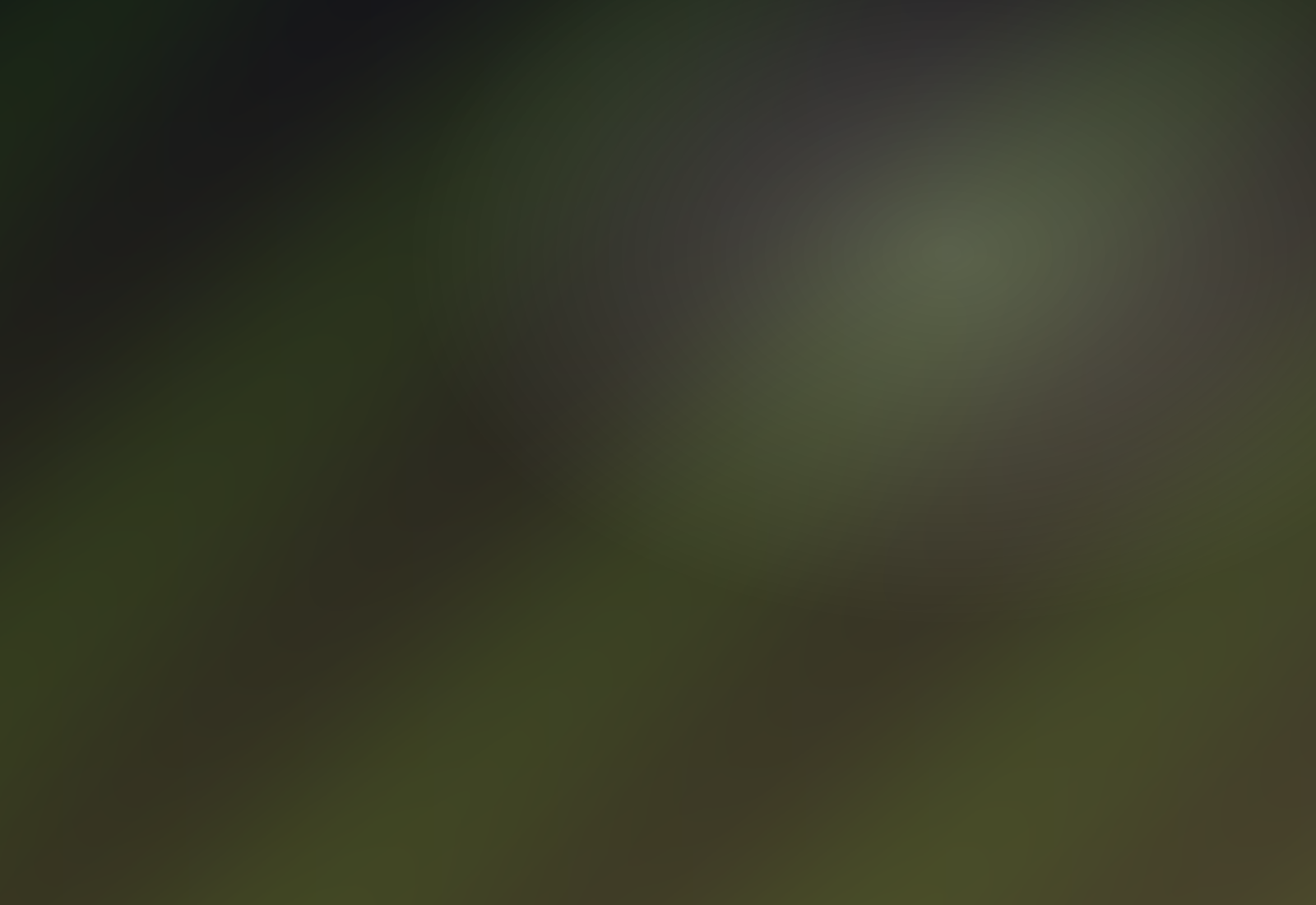 Резиденция в Хамовниках