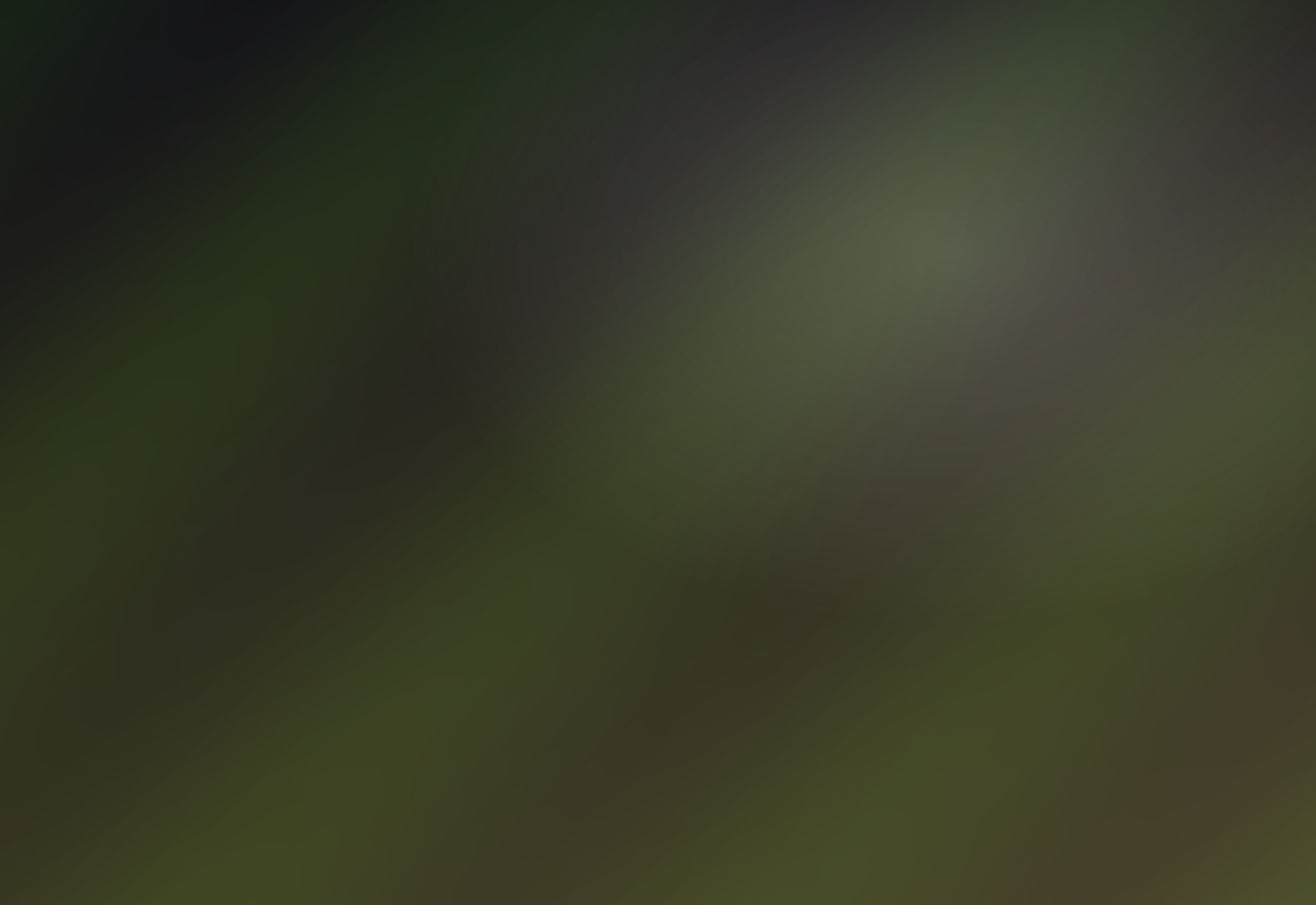 Загородный дом в Барвихе